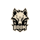 BOOM ESPORTS