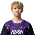 Muci