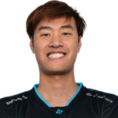 WildTurtle