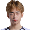 Zai